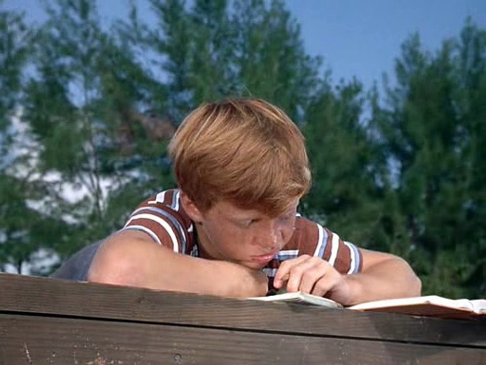 Flipper 1964 S01e19