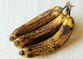 دراسة تكشف أسرار الموز ذي البقع السوداء: ماذا لو تناولته يوميًا؟