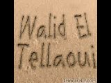 Walid El Tellaoui 2007 - Ya Donia