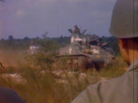 The 66th Infantry Division Black Panther (1944-45)