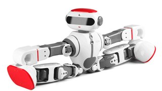 Dobi Intelligent Voice Controlled Multi Function Humanoid Robot
