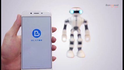 Multifunction RC Robot Wltoys F8 Dobi with Intelligent Voice Control