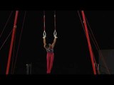 Yul Moldauer - Still Rings - 2017 World Championships - Qualification