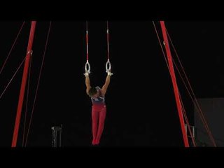 Yul Moldauer - Still Rings - 2017 World Championships - Qualification