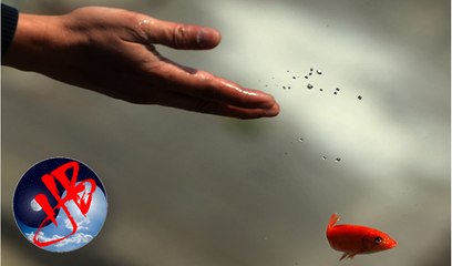 Ba ‘đơn thuốc’ của cuộc đời, đọc xong nếu hiểu được hãy chuyển cho người khác