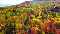 Drone Footage Captures Fall Foliage in Garden City, Utah