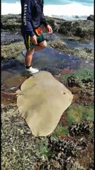 Releasing Fish Safely