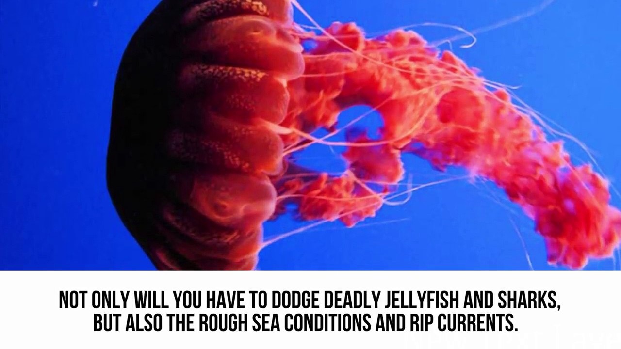 10 Most Dangerous Beaches In The World-gJxWrhc7JB4