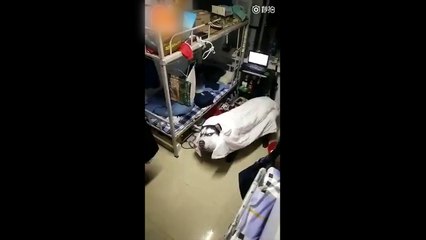 Múa lân bằng đầu chó