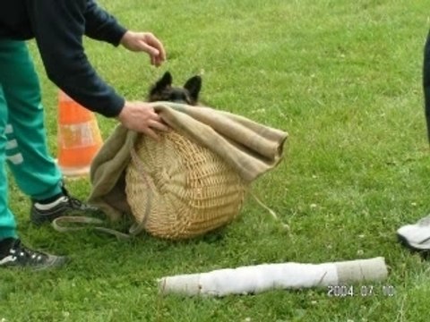 Diaporama de Virus du Musher de 8 semaines à 6 mois