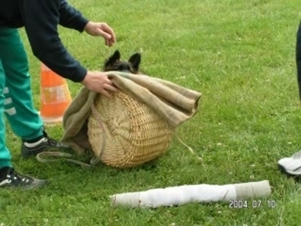 Diaporama de Virus du Musher de 8 semaines à 6 mois