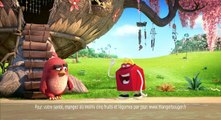 Happy Meal™ Angry Birds à partir du 13 avril 2016 chez McDonald's-wzOsPRCPRJE