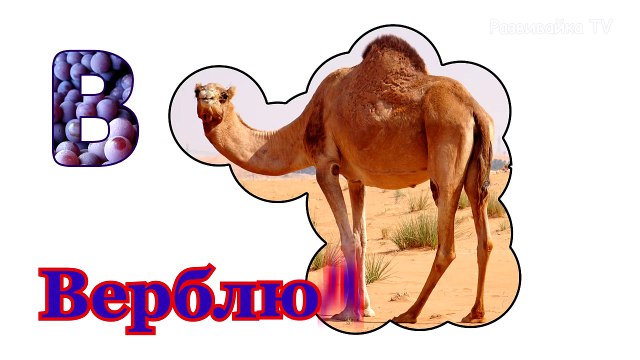 Алфавит в картинках. Часть 1. Буквы от А до Й. Развивающие мультики.