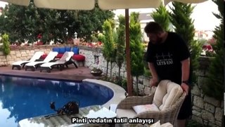 Vine Türkiye 2017 Haziran  Bölüm 19 HD