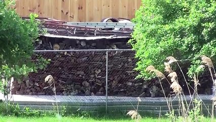 The Woodpecker Ep 87 - Making the backyard landscaping