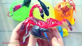 Learn Colors! Ocean Animals Wet Balloons Finger Family Nursery Rhymes Candy & Funny Face Compilation