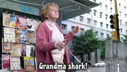 Baby Shark Dance PARODY Anak Bayi Lucu-7TzT-RJzPKQ