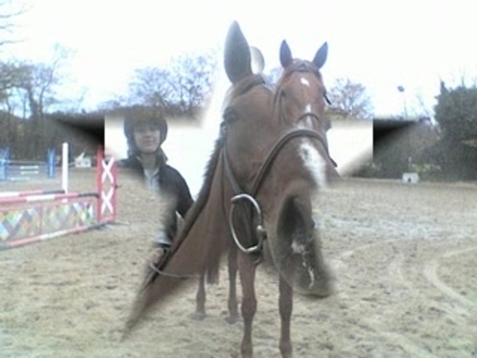 Mel, alex, mi a cheval