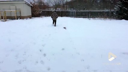 Tellement heureuse cette loutre qui court dans la neige !!
