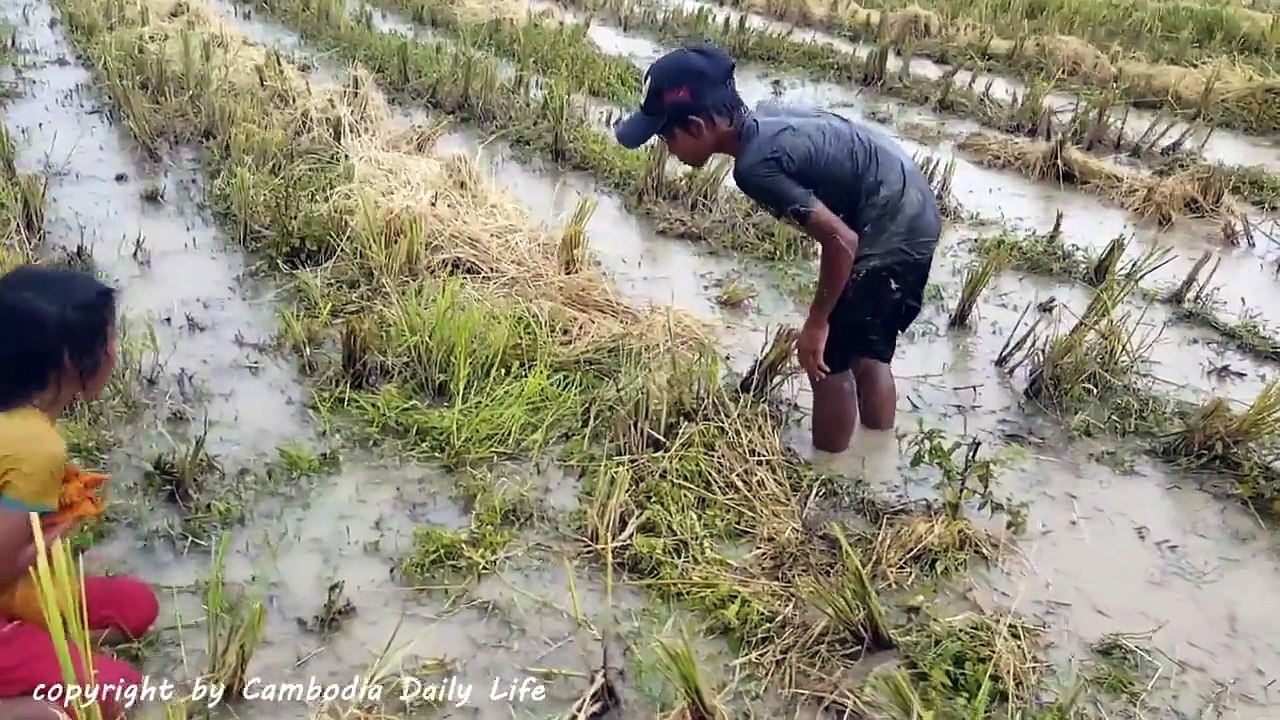 Trăng khổng lồ.To như trăng nam mỹ