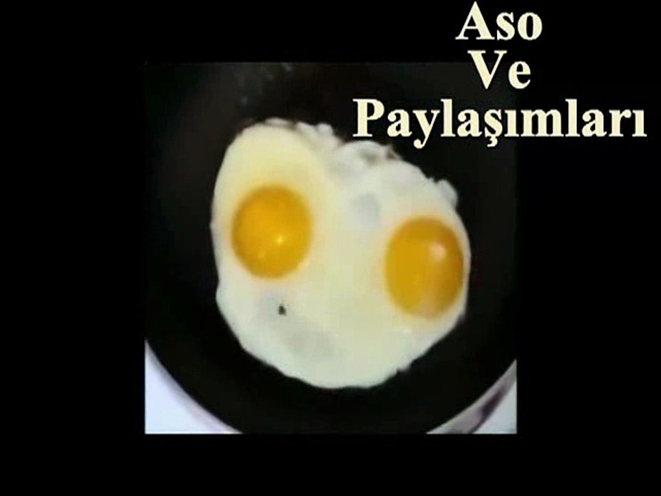 Kürtçe Şarkı Söyleyen Yumurta Repçi Yumurta.Aso ve Paylaşımları