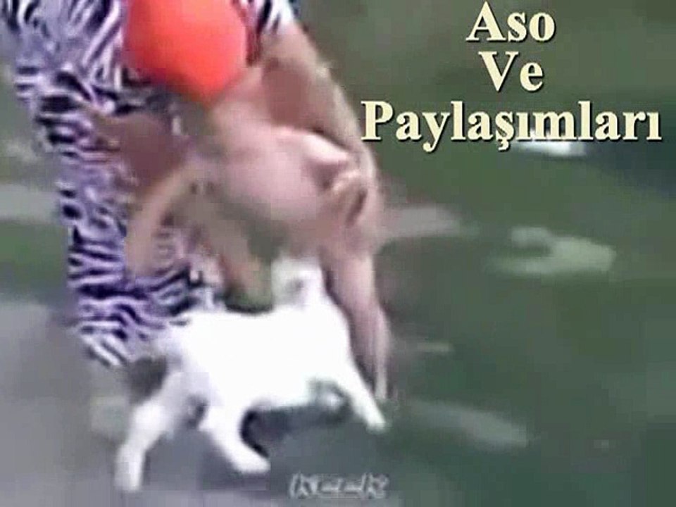 Kürtçe Dublaj Çocuğun Pipini Emen Keçi.Aso ve Paylaşımları