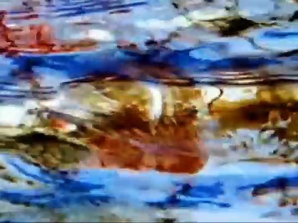 Sandra - Johnny Wanna Live