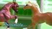 Breyer Horses - Doctor Visit - Jenna Foaling Again Part 7 Breyer Mini Whinnies Movie Video Series
