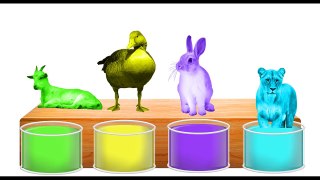 Learn Colors Farm Zoo Wild Safari Animals Bathing Kids Old MacDonald had a Nursery Rhymes Fun Place-L6y9Ey5bFJY