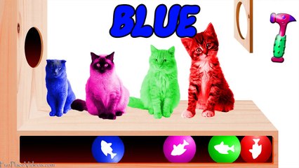 Learn Colors with Wooden Face Hammer Funny Cats Video Xylophone IRL Wild Safari Animals Kids Toy Fun-XkJqZ7zMg2c