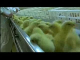 Machines that feed us, and that we feed...