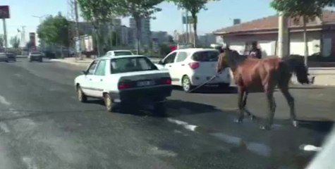 Şanlıurfa'da Tepki Çeken Görüntü
