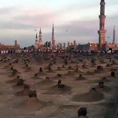 Jannatul Baqi