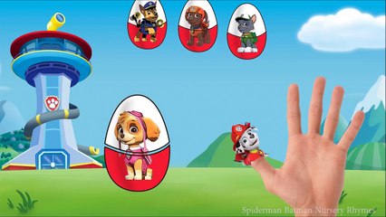 Paw Patrol Learn Colors with Pacman Learning Colors For Children part 2