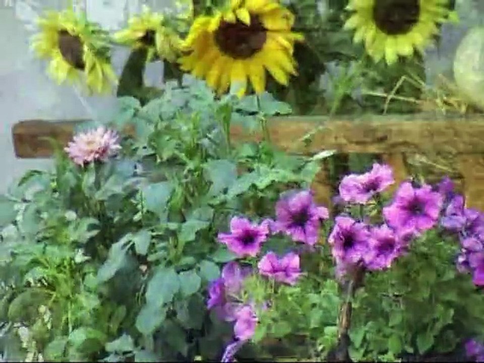 15 lecie Warsztatów Terapii Zajęciowej w Opocznie