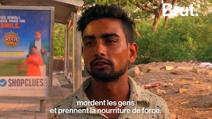 New Delhi souffre d’une invasion de macaques et propose une stérilisation générale