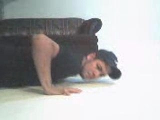 Lagartijas Imposibles IV