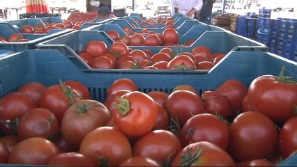 Antalya'da Sebze Üreticisi ile Tüccarların 35 Milyon Dolarlık Kuzey Irak Pazarı Tedirginliği