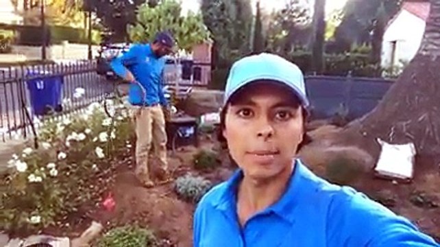 Santa Barbara,CA Landscaping project video