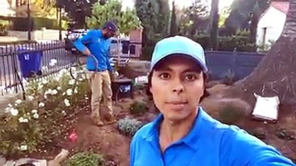 Santa Barbara,CA Landscaping project video