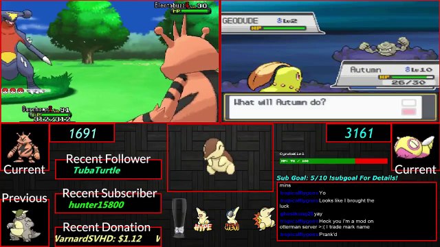 Pokemon X and Y Friend Safari Shiny Hunt Shiny Electabuzz