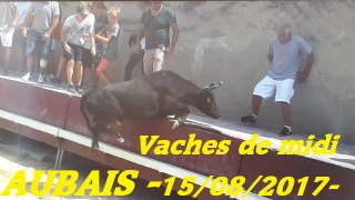 Aubais-Vaches de midi-15/08/2017