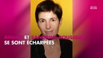 ONPC : Après l’affaire Christine Angot, Denis Baupin demande un droit de réponse