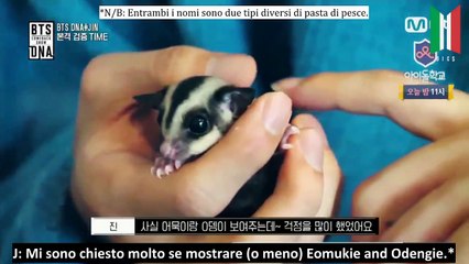 [SUB ITA] 170921 COMEBACK SHOW - BTS DNA Un-broadcasted Seokjin VCR