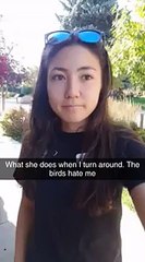 Un hibou voulait attaquer une fille au moment où elle tourne !