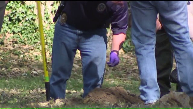 Authorities Search Island for Remains of Girl Missing Since 1996