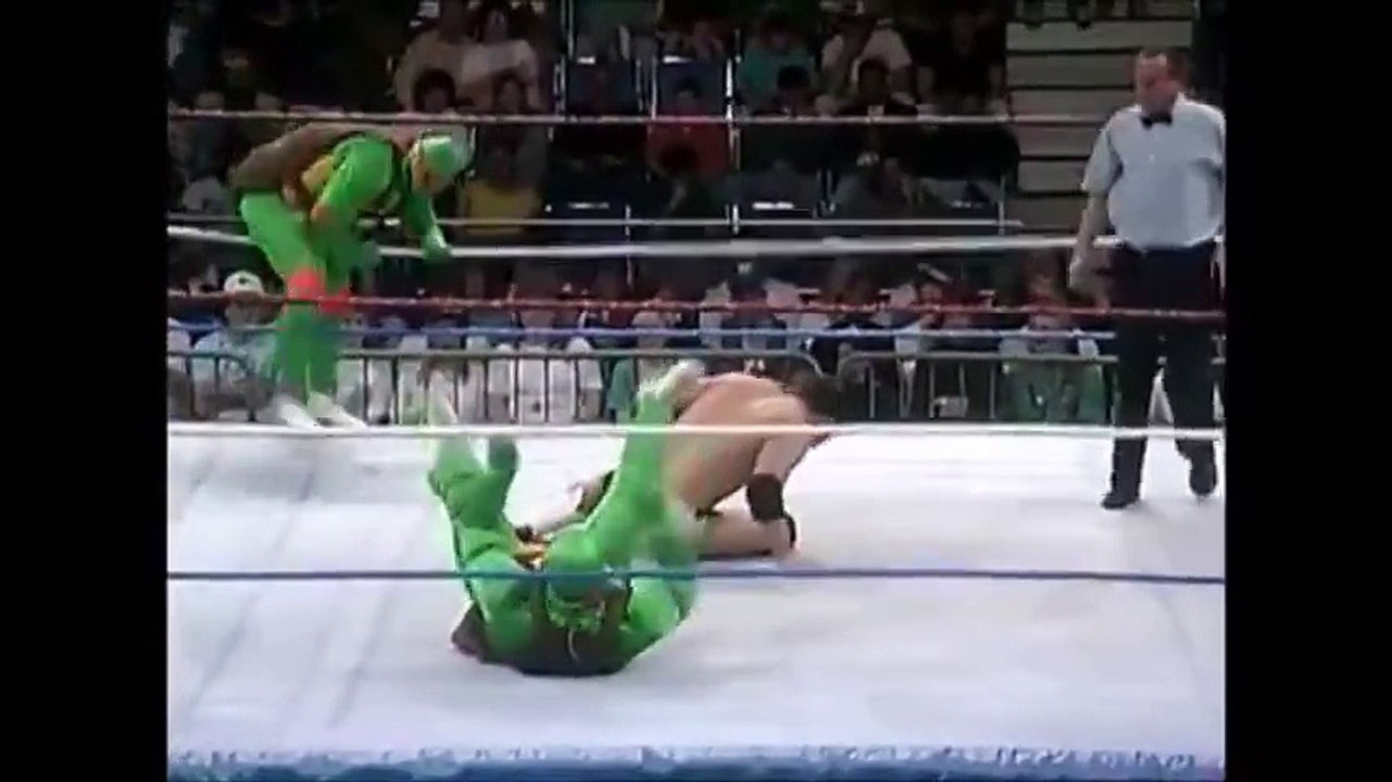 WWF in 1993 xD