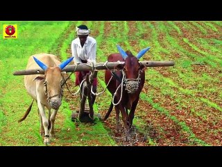 मिट्टी के इन उपायों से होगा हर समस्या का निवारण--These Measures of soil will Solve All Your problem1