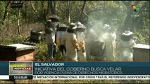 El Salvador fortalece atención psicosocial a retornados de EE.UU.