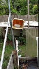 Colmenas en casa y deshaciendo mitos